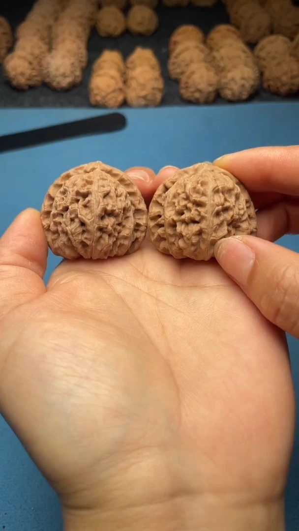 桃核把件w67  白狮子38尺