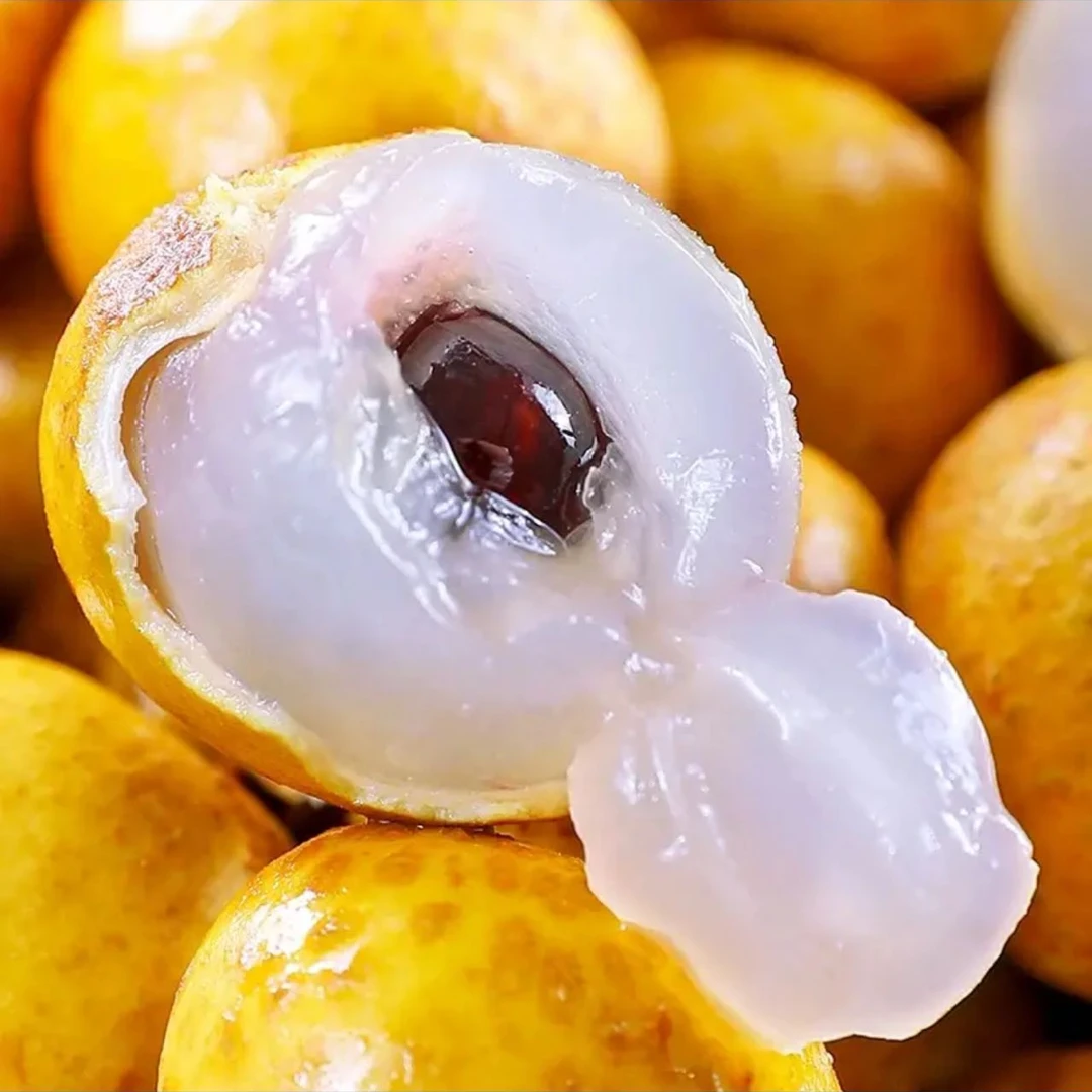 【只发新疆】金标桂圆皮薄肉厚乌市九鼎直发