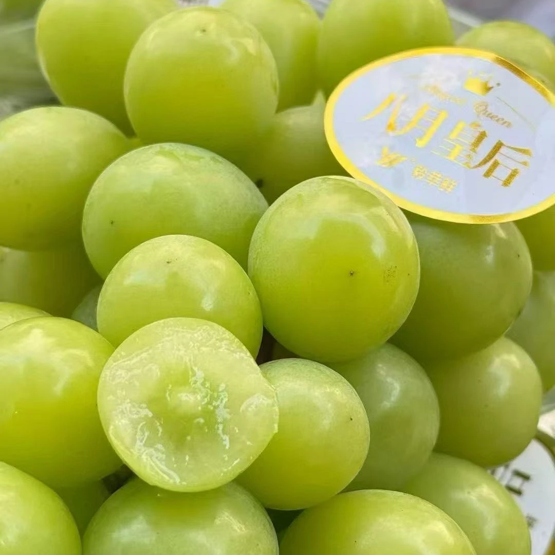 【八月皇后】云南阳光玫瑰葡萄水果中的贵族，品质稳定口感脆甜，香味浓郁云南省