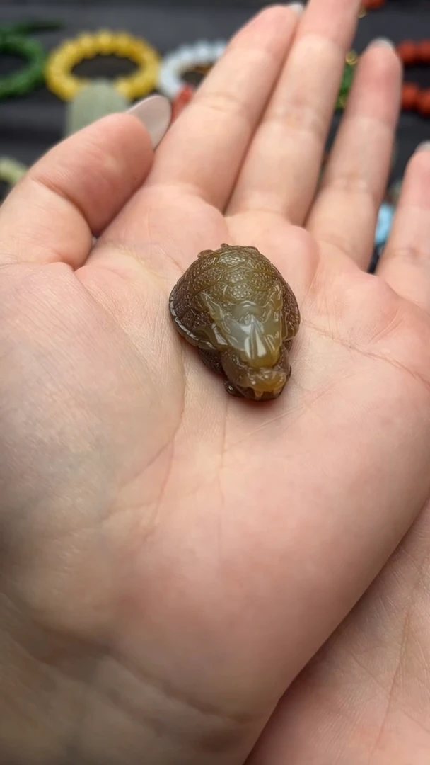 颈饰未镶嵌和田玉龙龟