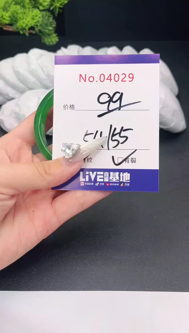 未镶嵌手镯翡翠4029