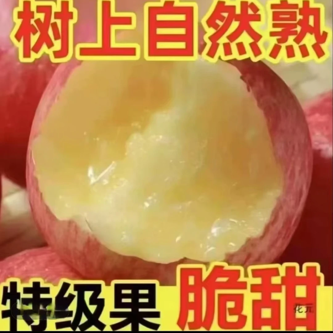 山西运城红富士苹果新鲜现摘当季应季脆甜多汁水果Z1