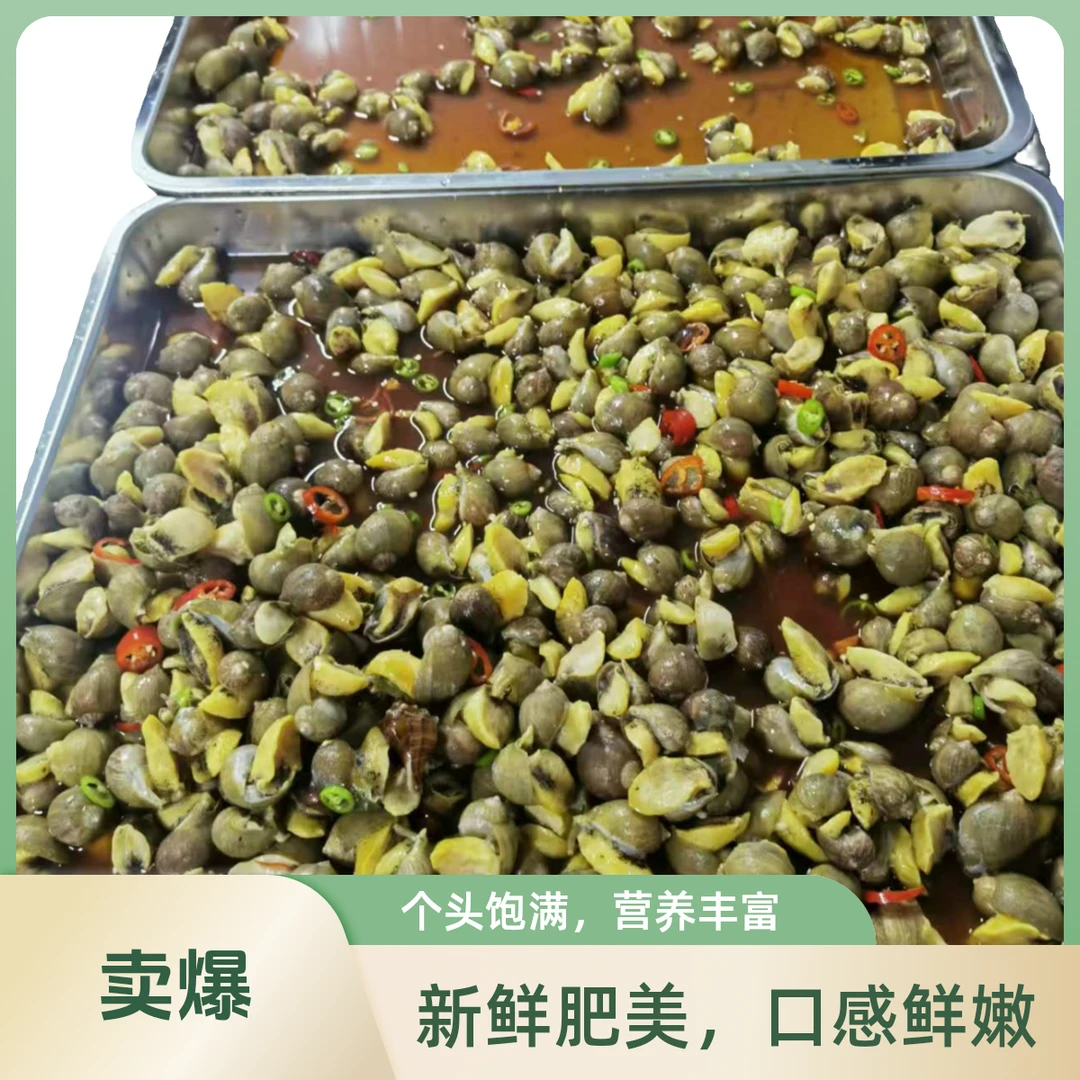 6【现做现发】大连麻辣捞汁鲍螺海鲜假鲍鱼老婆脚500克*2桶固形物大于70%