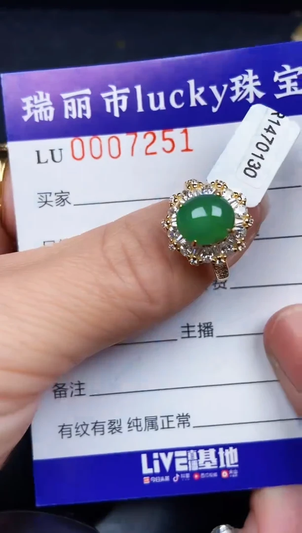 翡翠银S925镶嵌颈饰7251