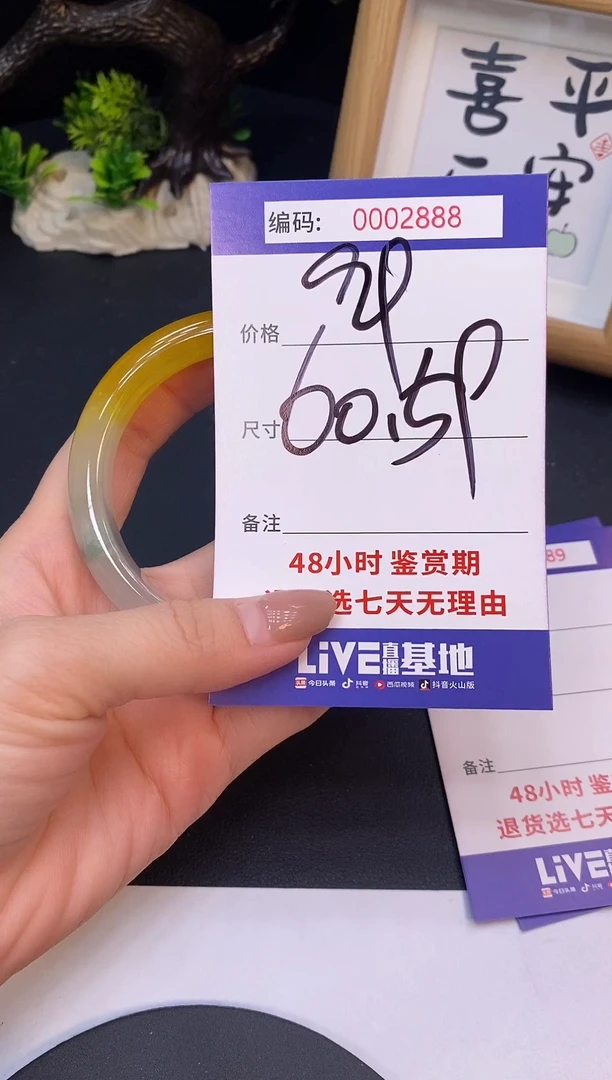 未镶嵌手镯翡翠0002888