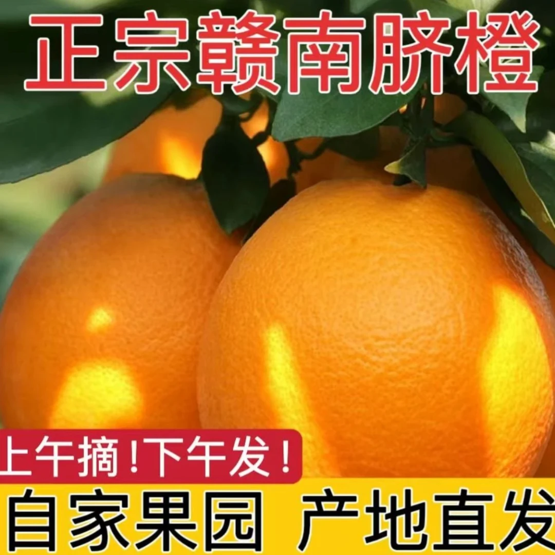【赣州直发】正宗赣南脐橙新鲜水果皮薄多汁产地直发坏果包赔果香浓