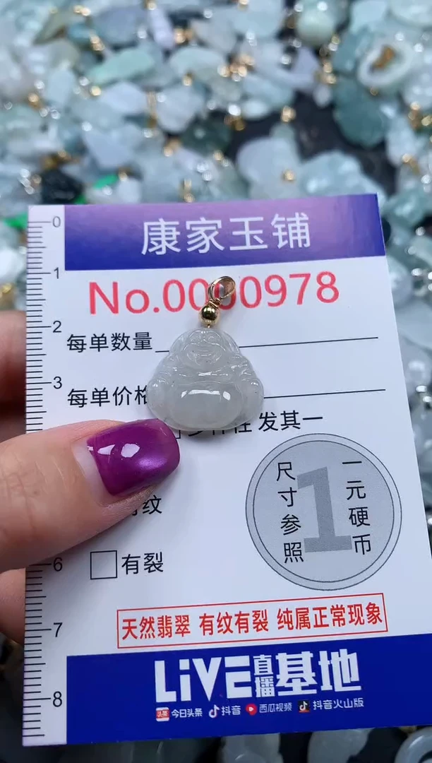 颈饰未镶嵌翡翠978