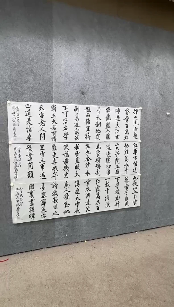 【闪购商品】书法pmb不二轩旗舰店国画WLX2