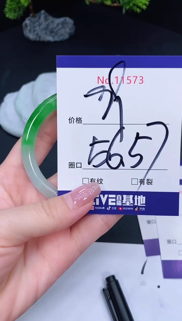 未镶嵌手镯翡翠11573