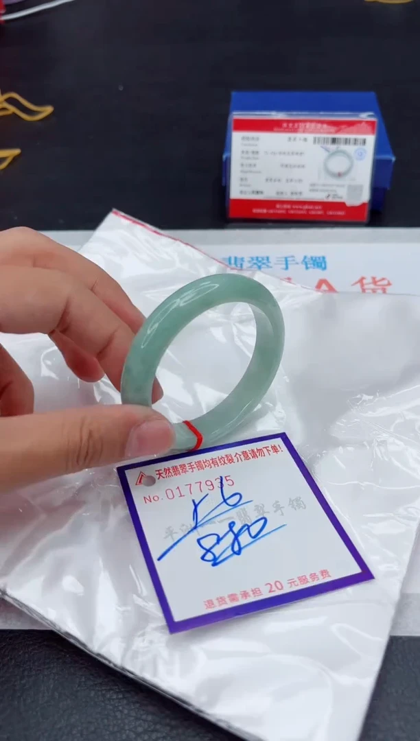 未镶嵌手镯翡翠11111111