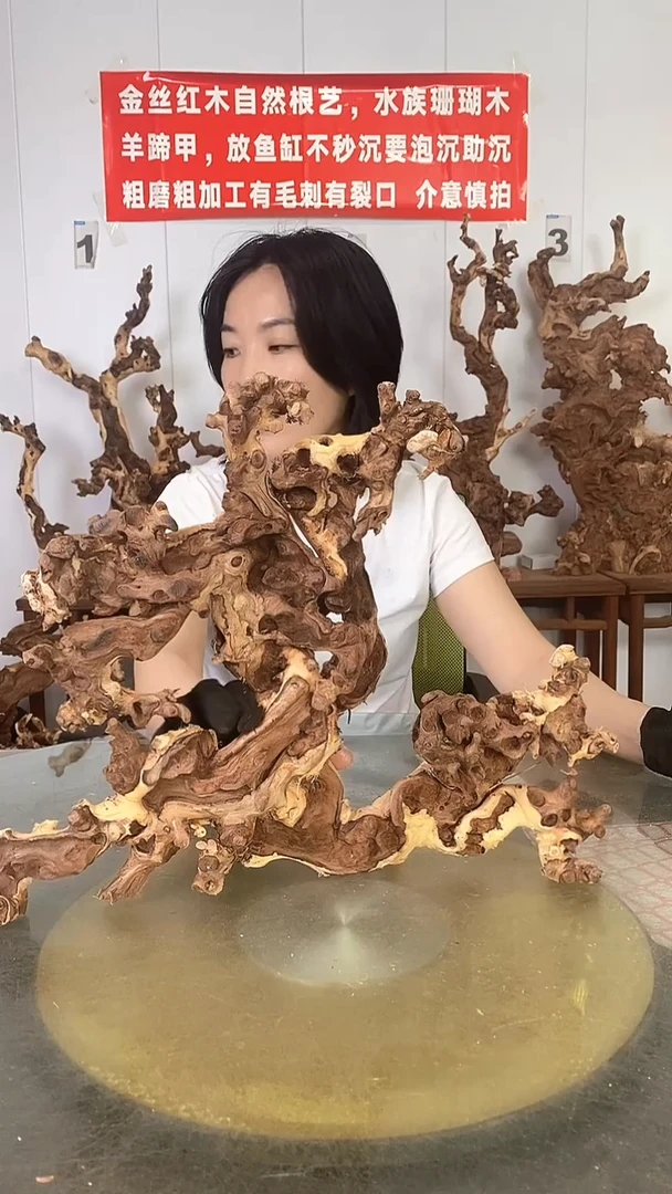 香榧木金丝红木 羊蹄甲