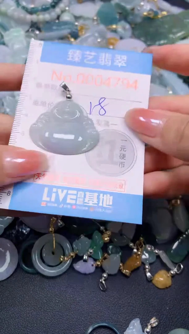 颈饰未镶嵌翡翠4794