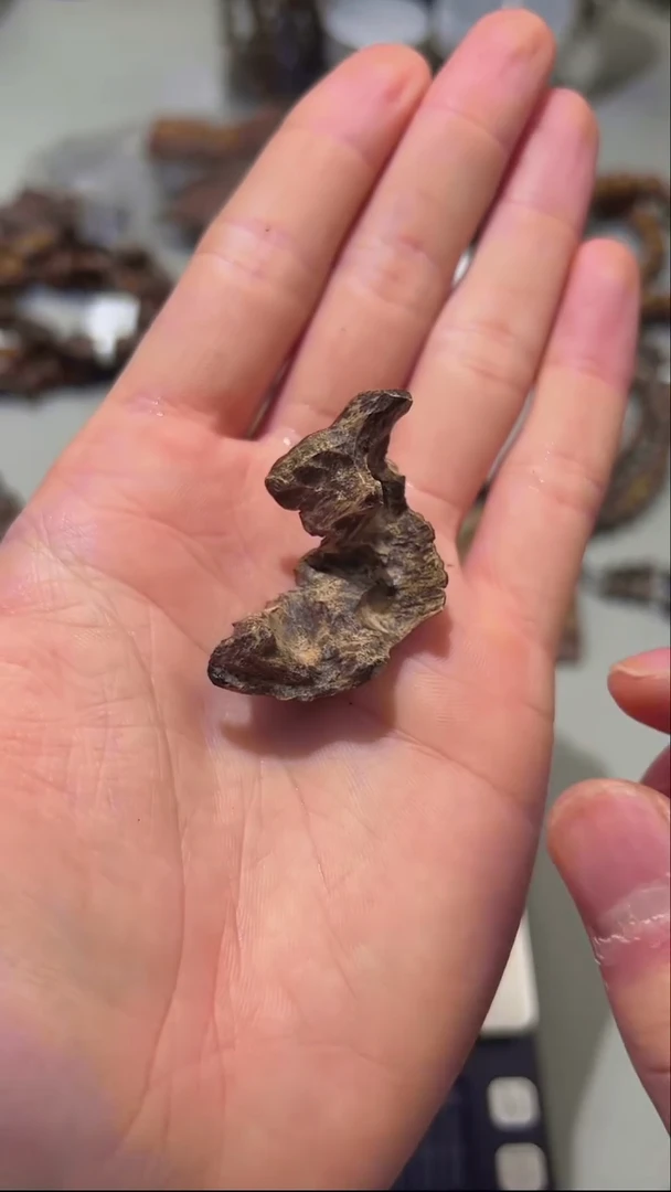 【闪购商品】沉香手把件富森料2.3g