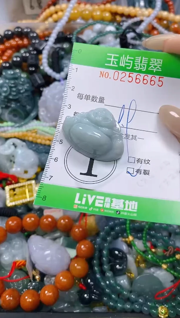 颈饰未镶嵌翡翠闪购0256665