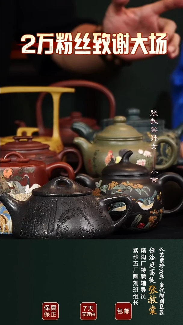 茶壶紫砂ZST118景舟八式紫砂