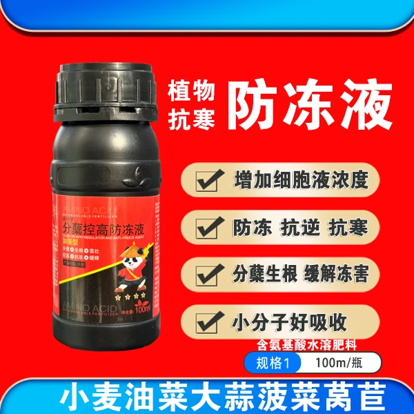 小麦年前年后分蘖扛倒防冻生根分叉液