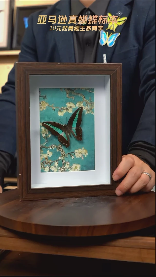 青凤蝶8寸复古框腊梅款