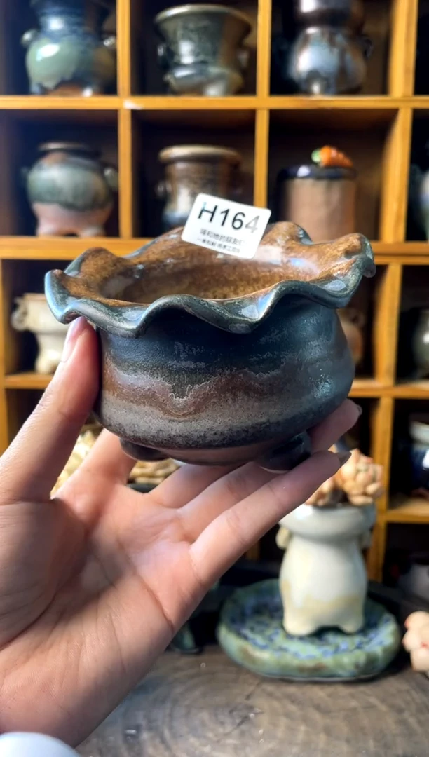 164内口8【多肉花盆多肉盆】