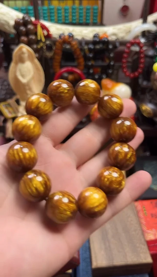 一一一一一一海柳川