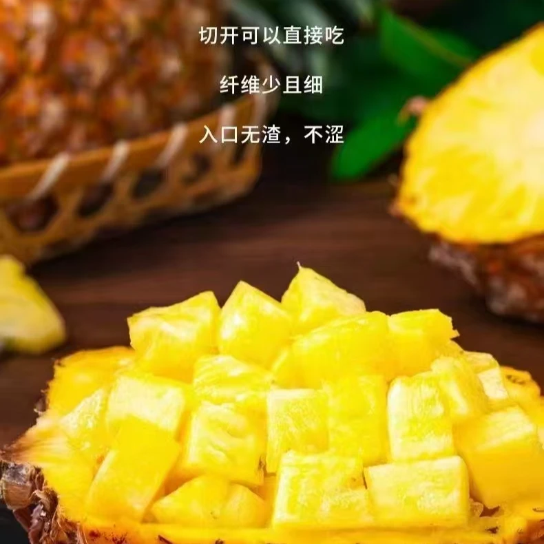 正宗徐闻愚公楼金砖凤梨脆甜多汁应季新鲜皮薄自然熟产地直发