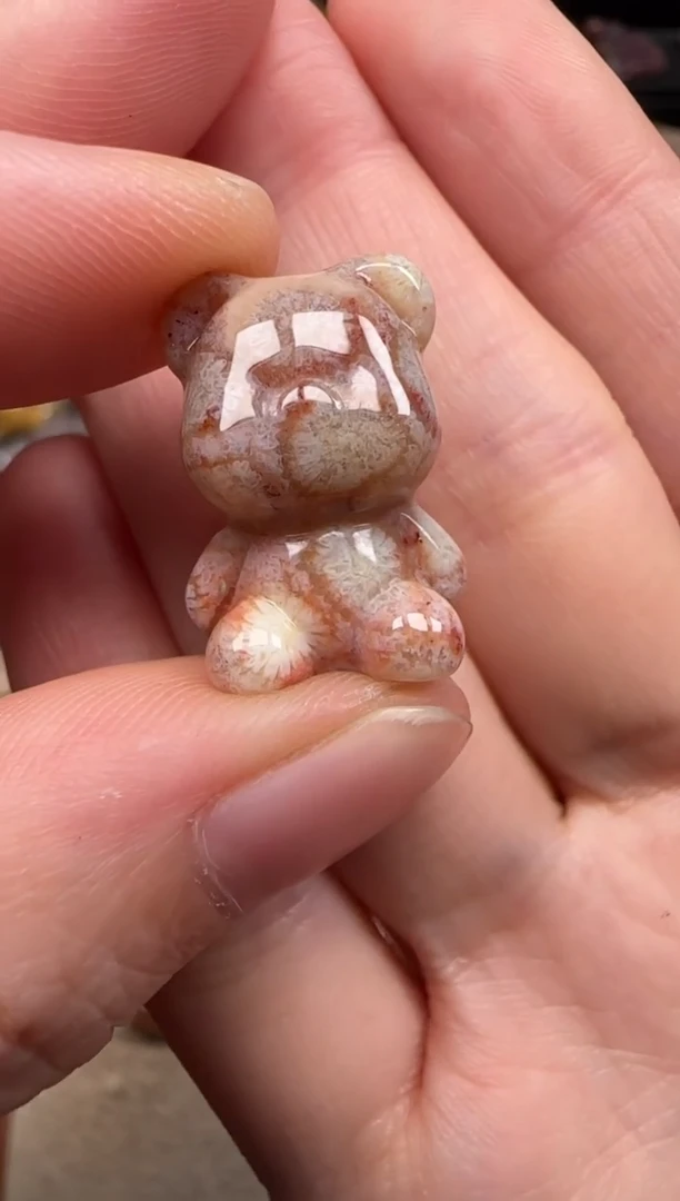 硅化珊瑚（珊瑚玉）未镶嵌颈饰770