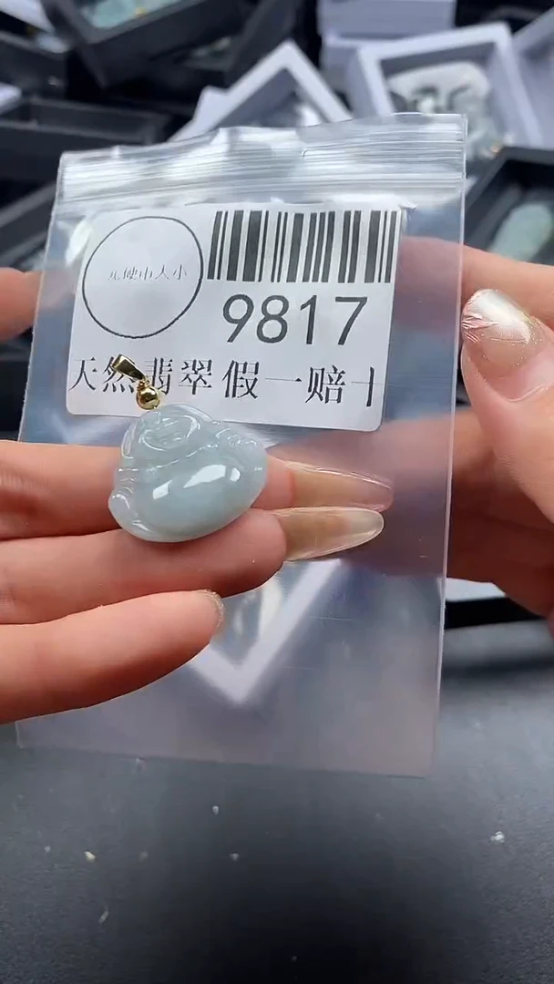 吊坠(不含链)未镶嵌翡翠9817