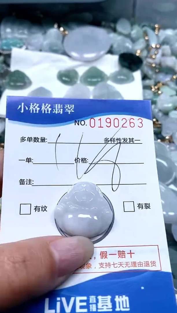 【闪购商品】翡翠颈饰未镶嵌闪购商品0190263