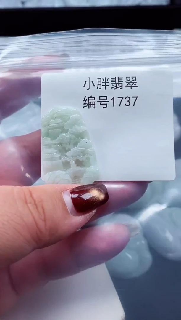 颈饰未镶嵌翡翠缅甸天然A货翡翠1737