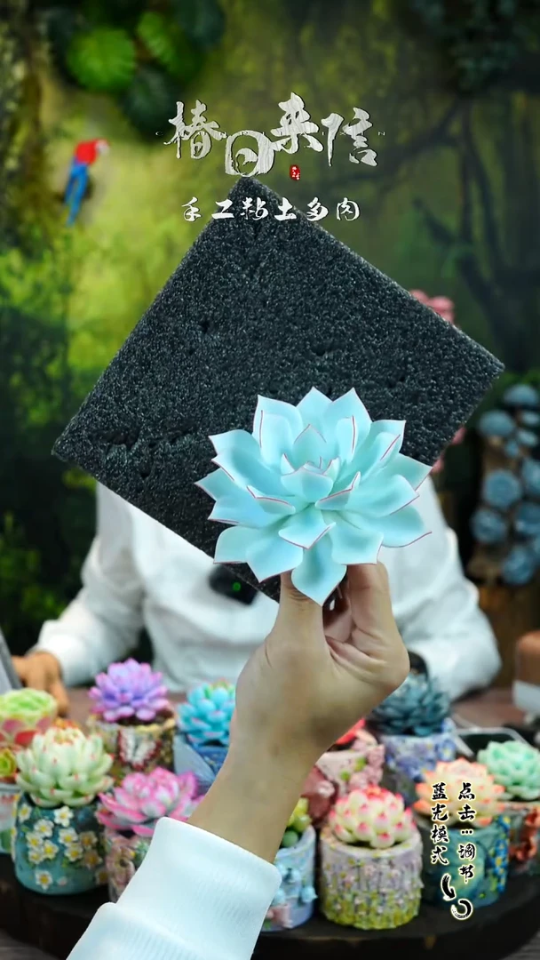 广寒宫。。。。。。。。。