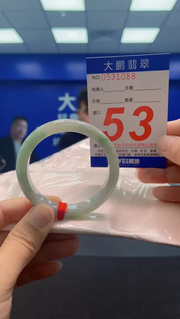未镶嵌手镯翡翠AAAAAAAAA