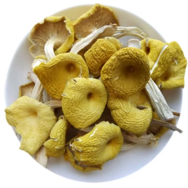 尝鲜云南鲜香干货鸡油菌