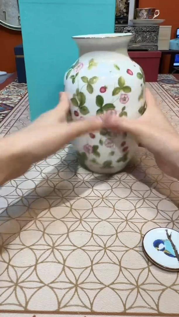 Y杯杯杯杯杯杯杯杯杯杯杯杯杯杯