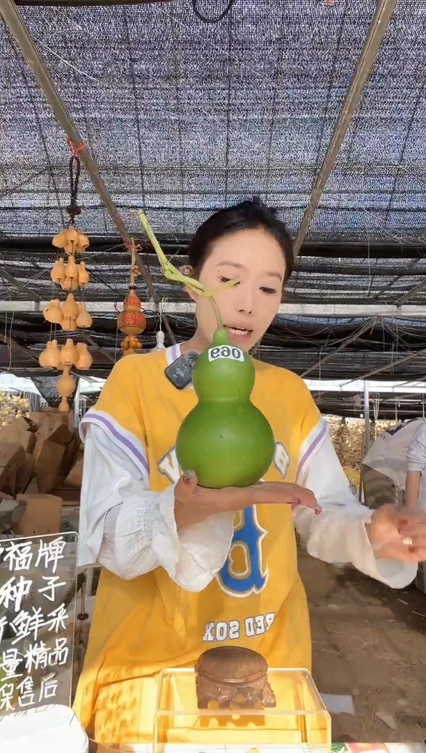 069天然葫芦摆件 一物一拍龙头不保售后