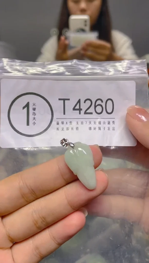 颈饰未镶嵌翡翠/ T /翡翠A货，一件也是批发价