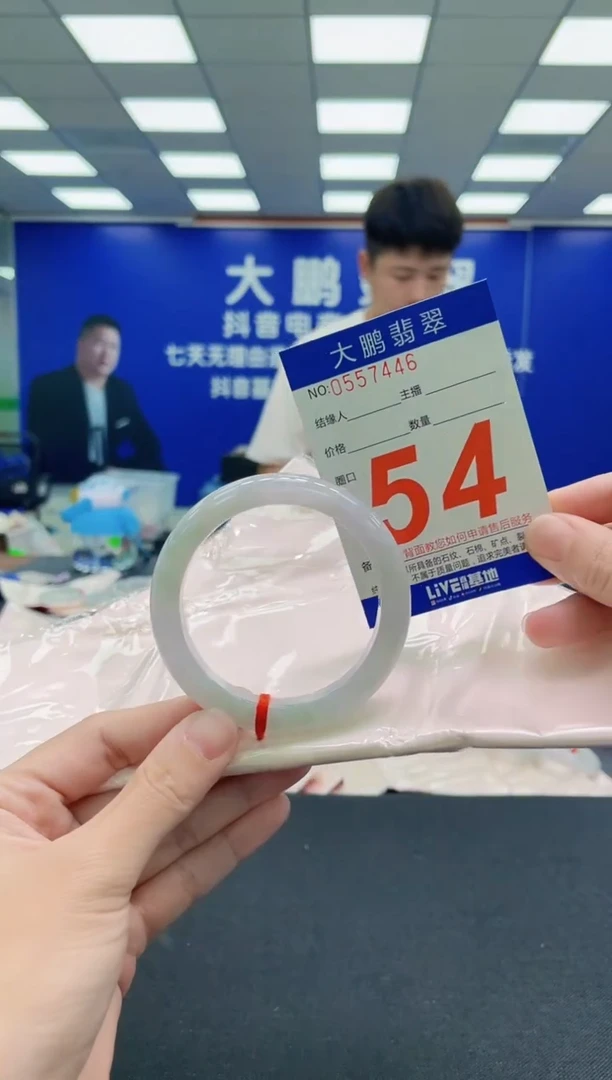 未镶嵌手镯翡翠AAAAAAAAA