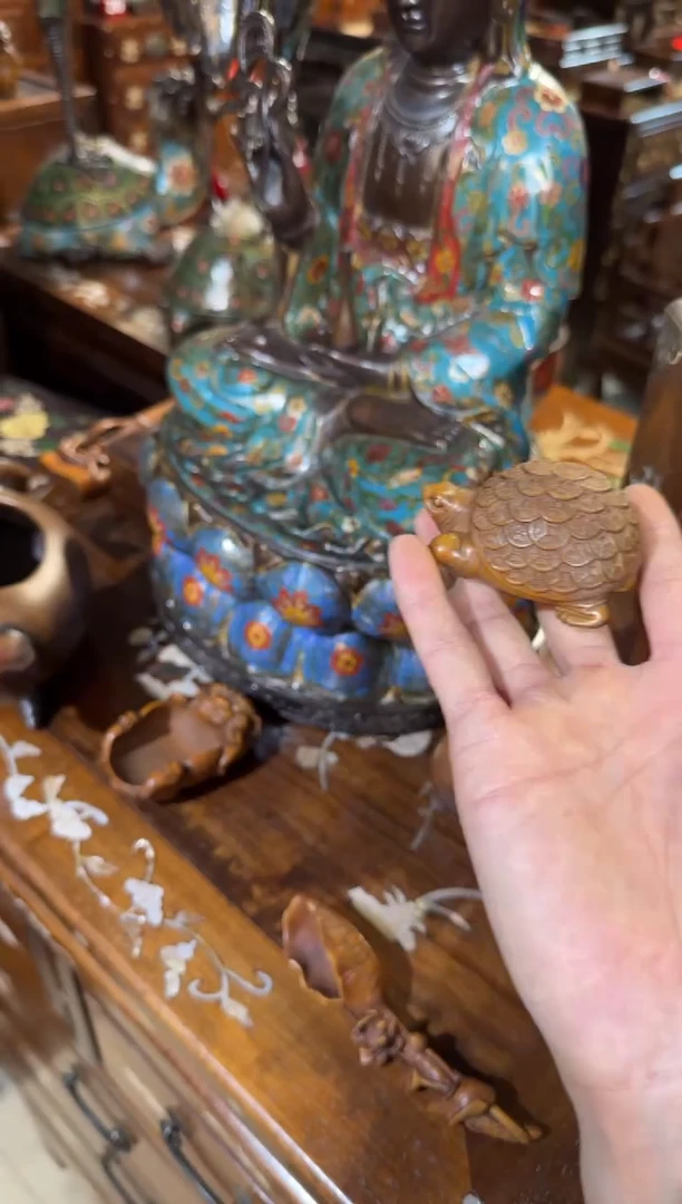 木木头款黄杨金钱龟68