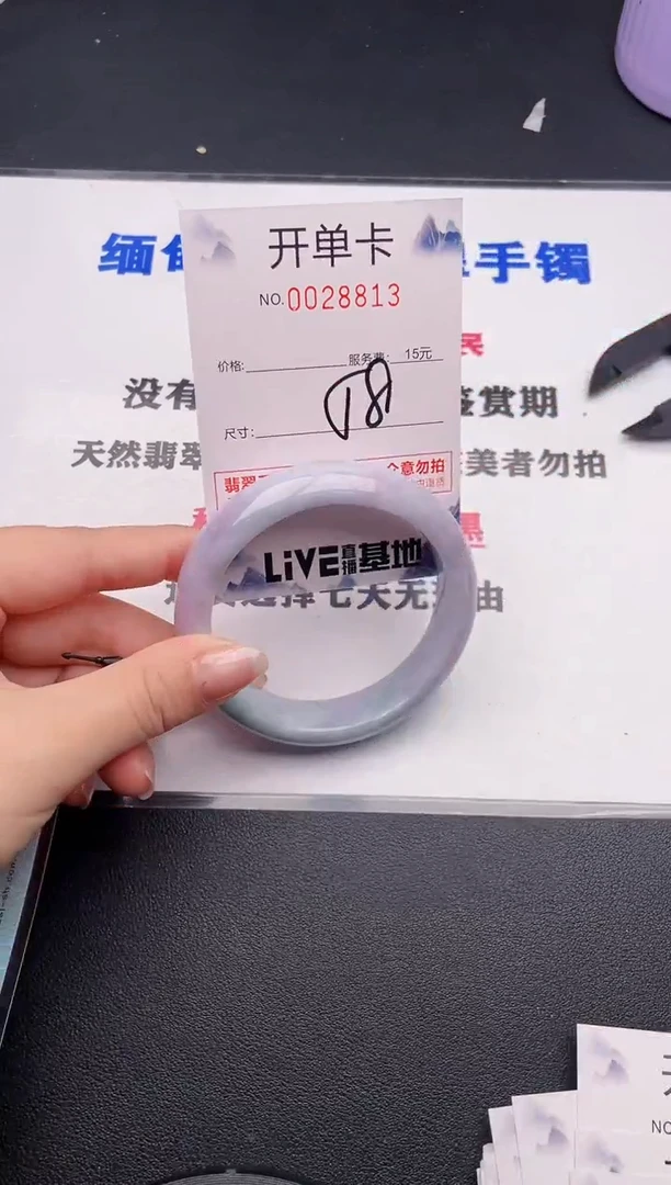 未镶嵌手镯翡翠13