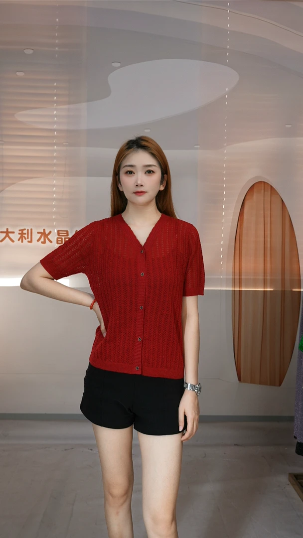 ZHENTISIMAN/TA5047 水晶纱套头V领开衫修身显瘦百搭意大利纱线