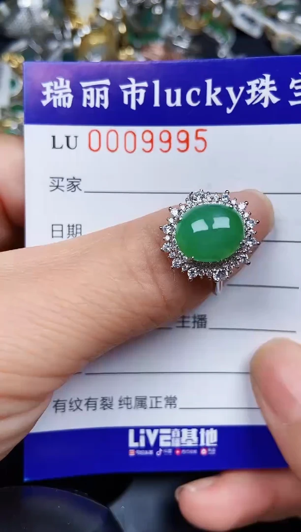 翡翠银S925镶嵌颈饰9995