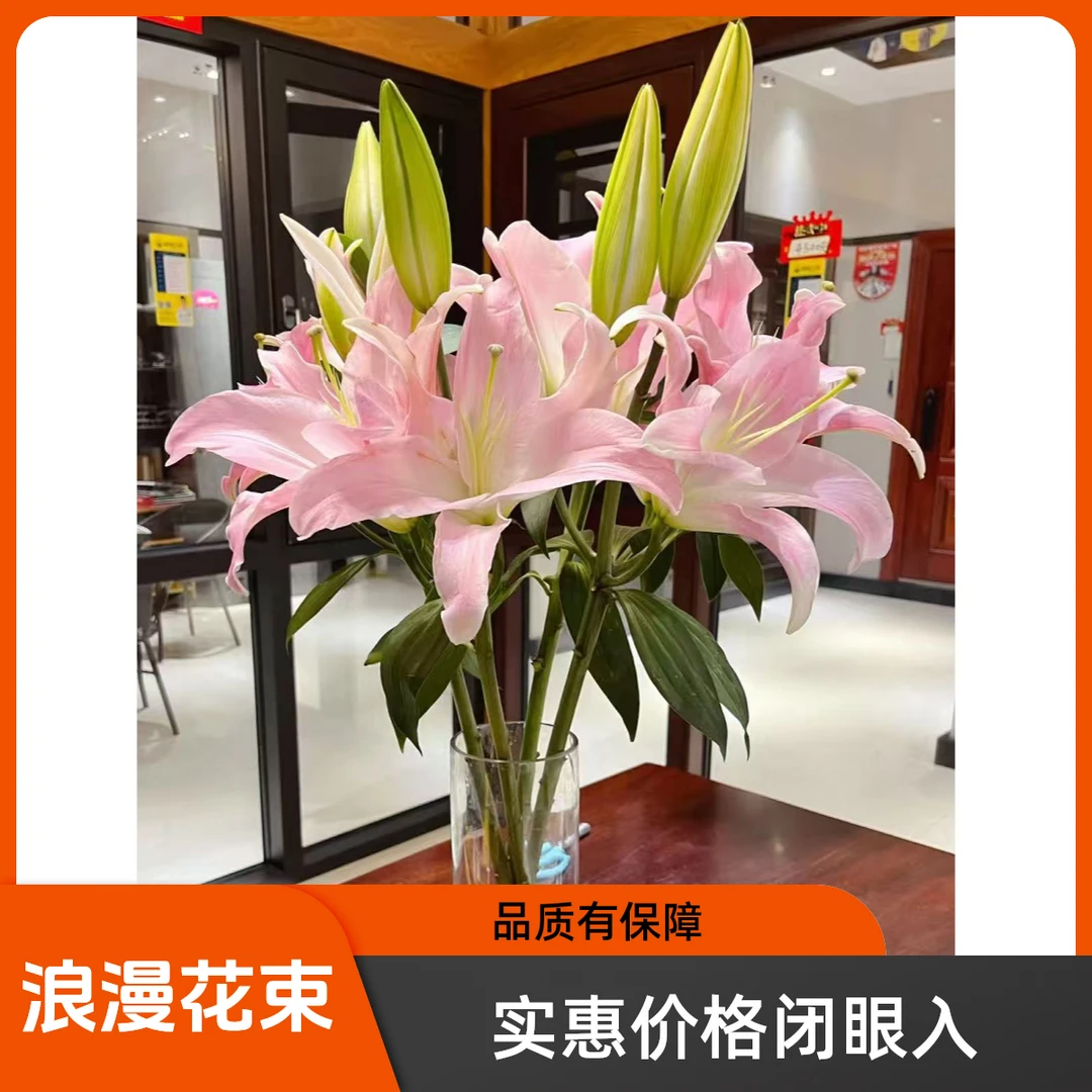 《优选》星光香水百合基地现彩直发飘香四溢赠佳人