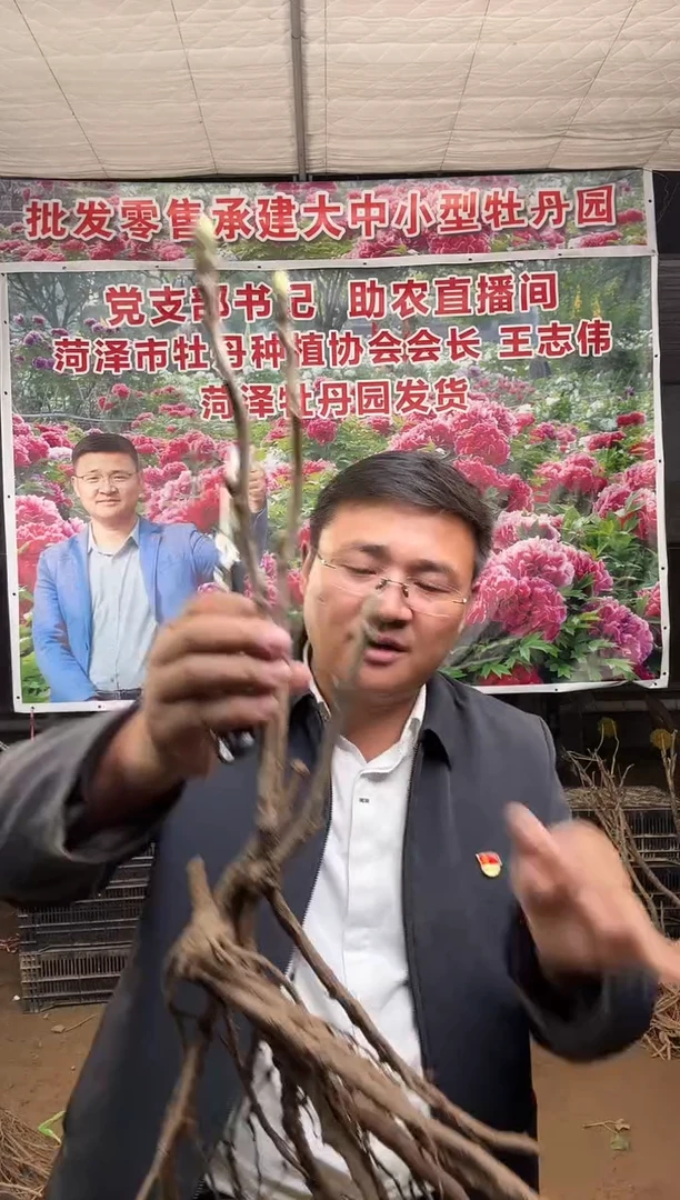 闪购链接  仙桃24