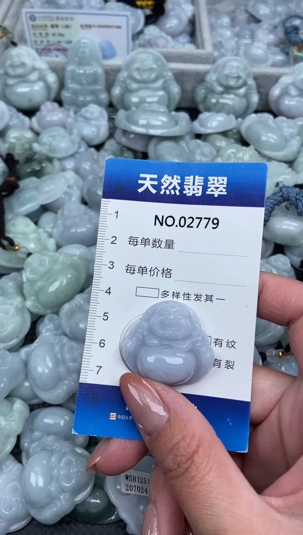 颈饰未镶嵌翡翠纯天然A货翡翠2779