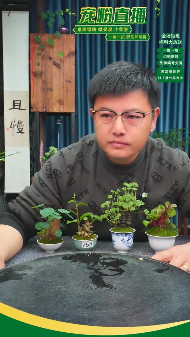 无花朵t***p苔藓微景观754号