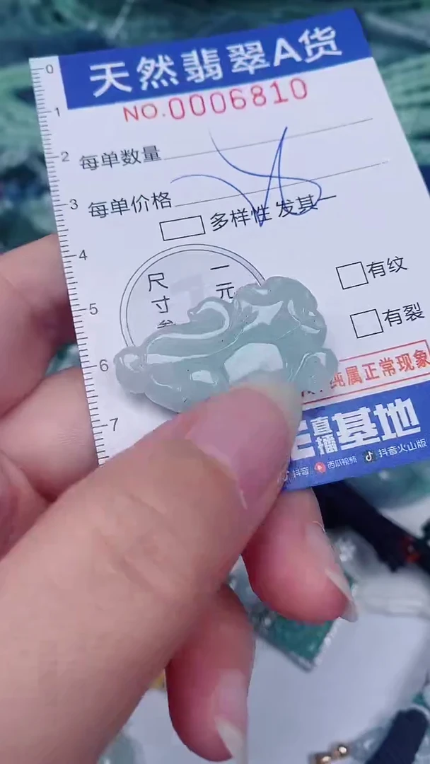 翡翠未镶嵌颈饰00006810