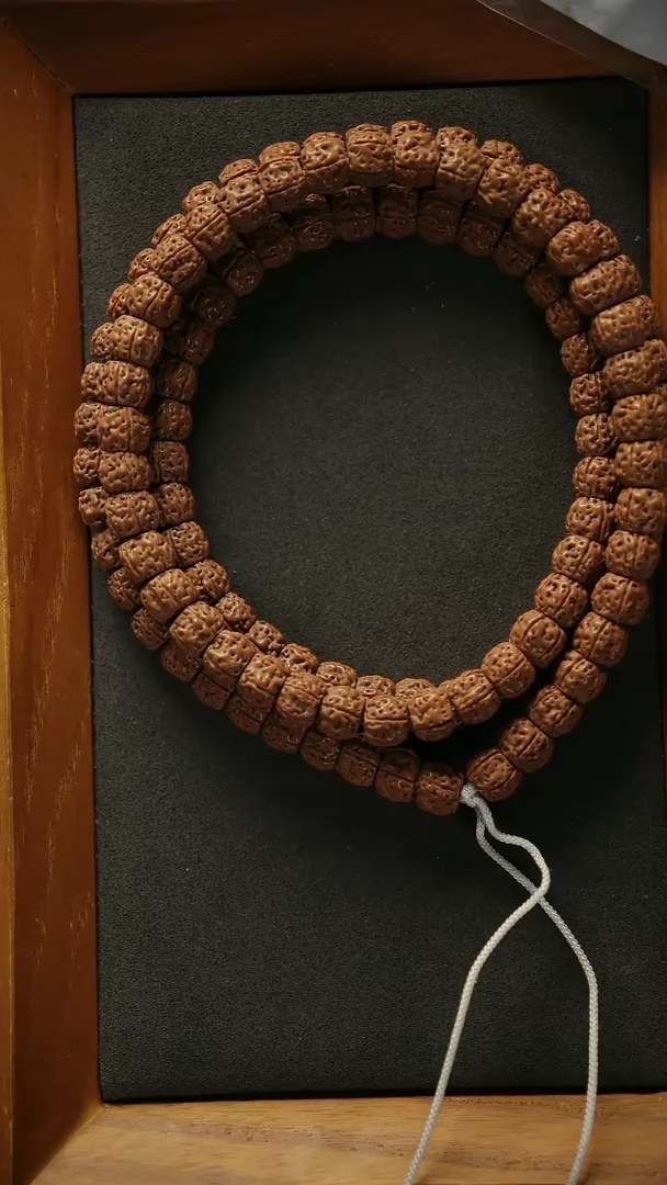 金刚菩提手串藏式一代盘龙 长串  500 10+