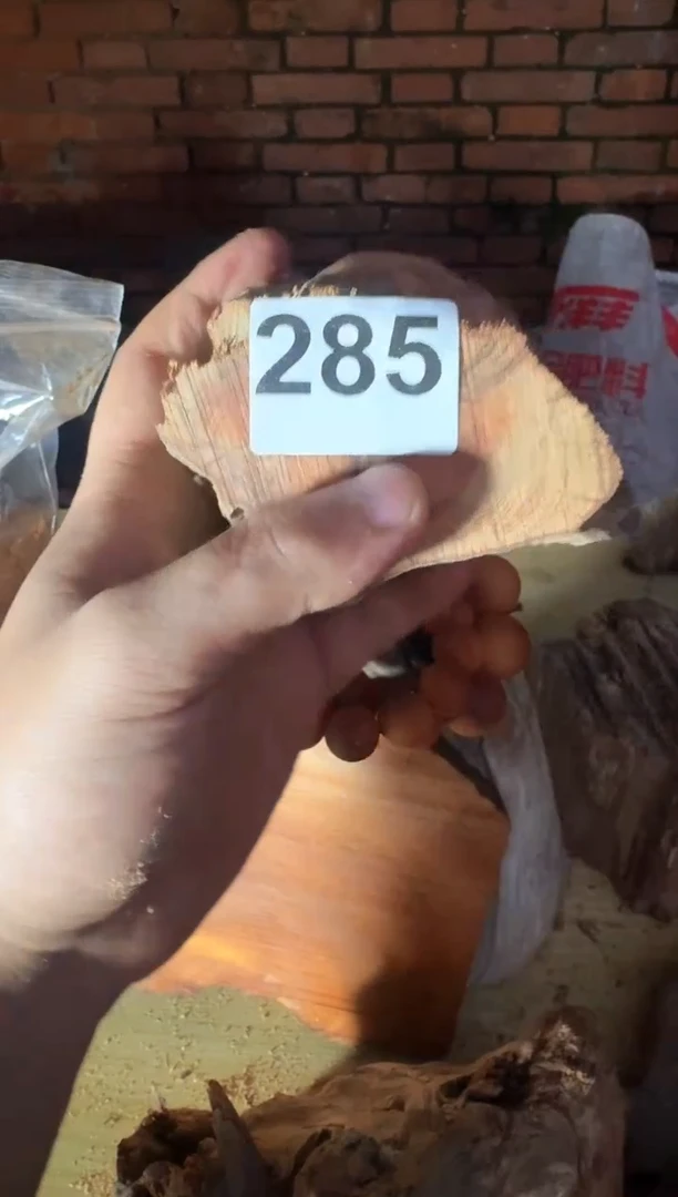 柏木（崖柏）太行崖柏陈化切片一片