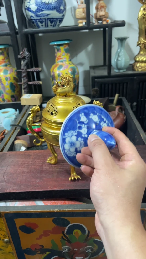 瓷片主播推荐精选好物