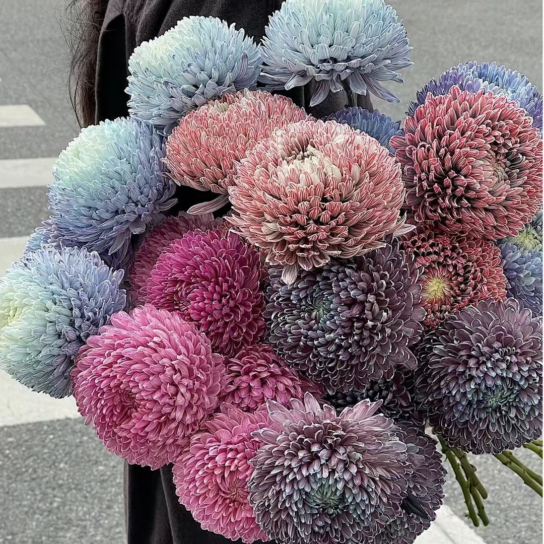 【小阿阮】2扎自选富贵牡丹球年宵花过年喜庆富贵花开大气顺丰直发