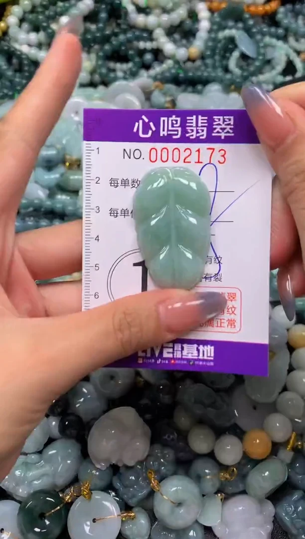 颈饰未镶嵌翡翠闪购002173