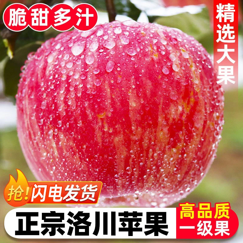 正宗洛川苹果陕西当季红富士新鲜皮薄脆甜多汁冰糖心产地现摘包邮